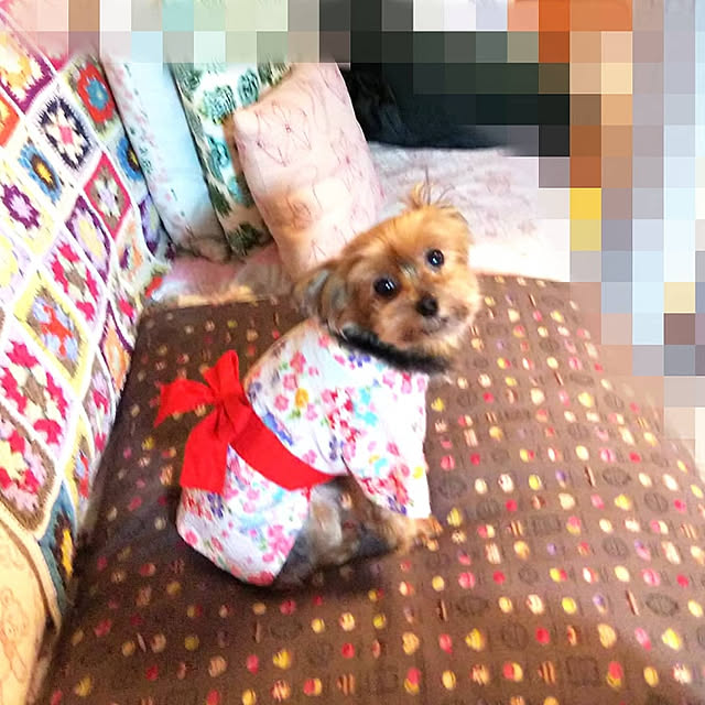 chiikokunさんの実例写真