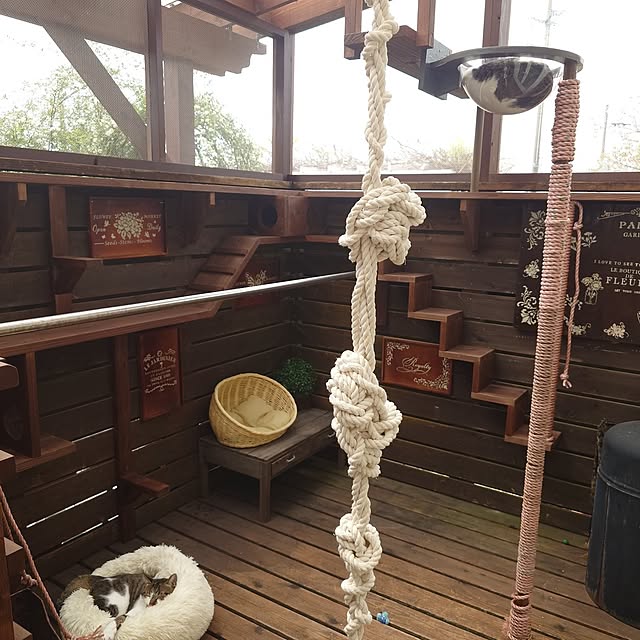 masayoさんの実例写真