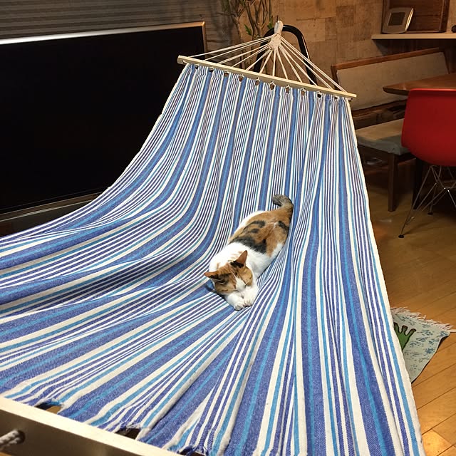 okan0908さんの実例写真