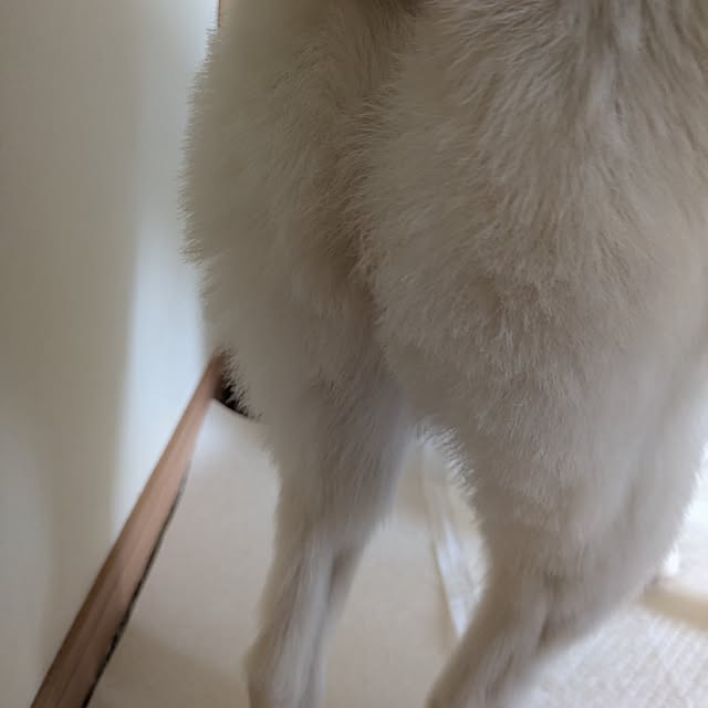 asaさんの部屋