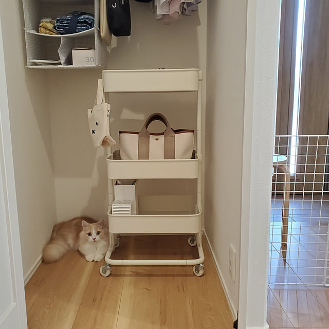 annyaさんの実例写真