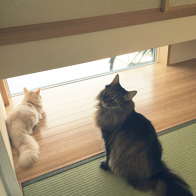 takiさんの実例写真