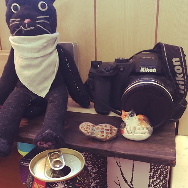 jijiさんの実例写真