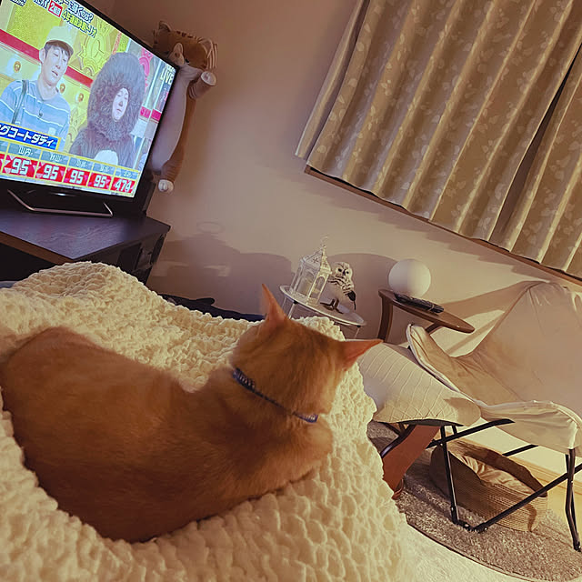 chiiさんの実例写真