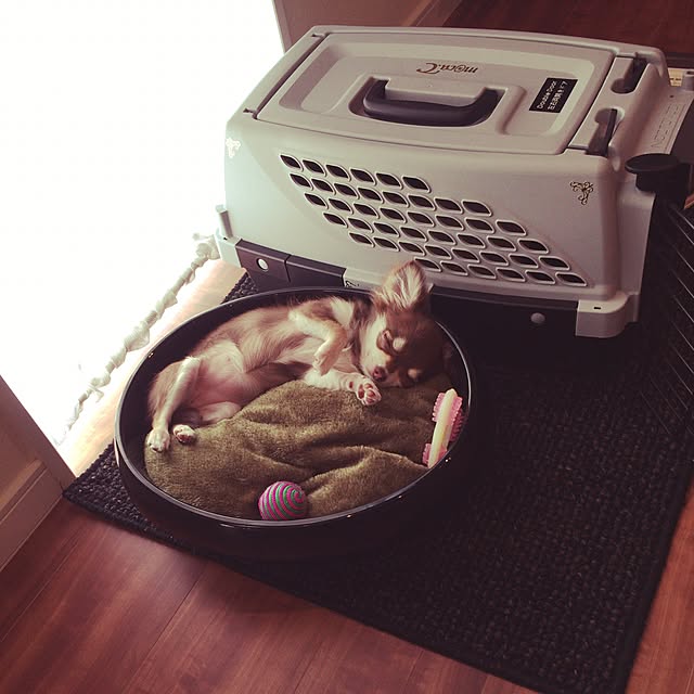 Mocaさんの実例写真