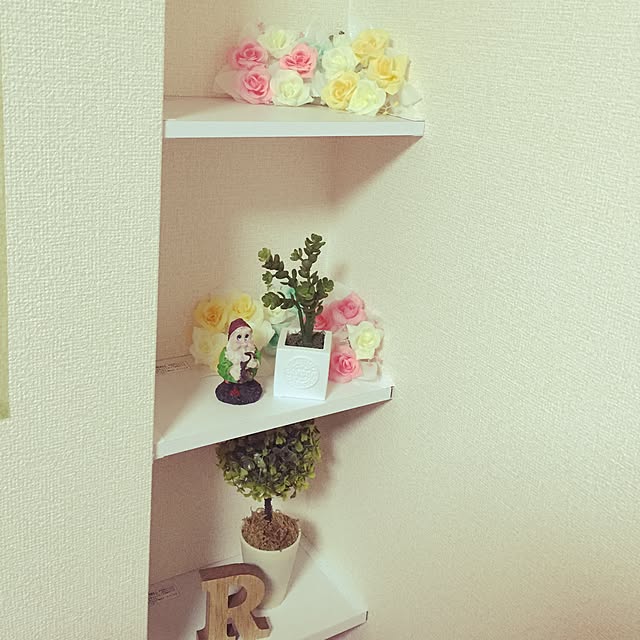 rii--kaさんの実例写真