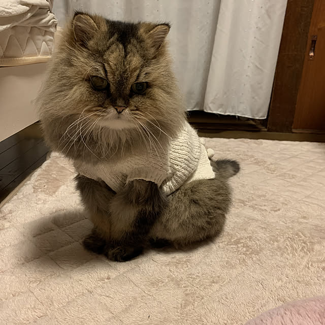 haruさんの実例写真