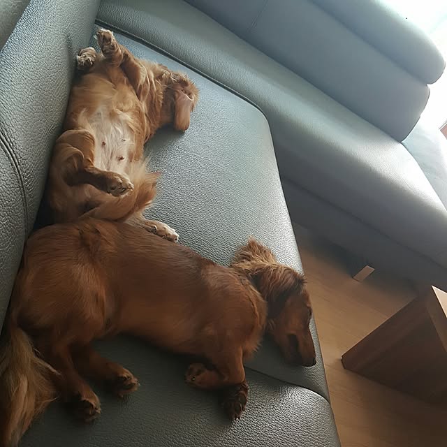 very2kobeさんの実例写真