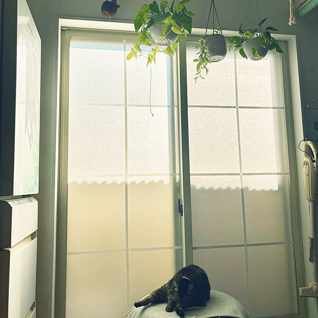 masamasaさんの実例写真