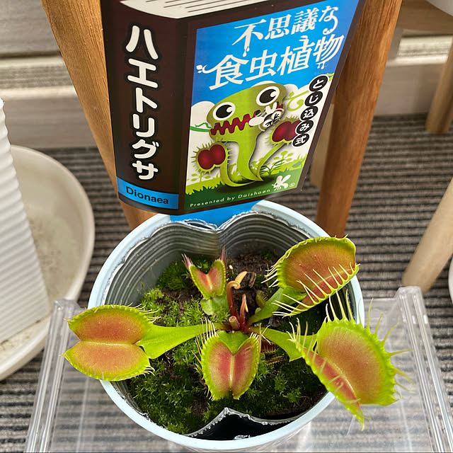 ayaさんの実例写真