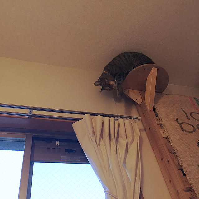 Mさんの実例写真