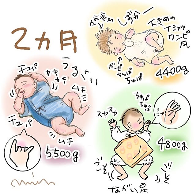 mi-saさんの実例写真