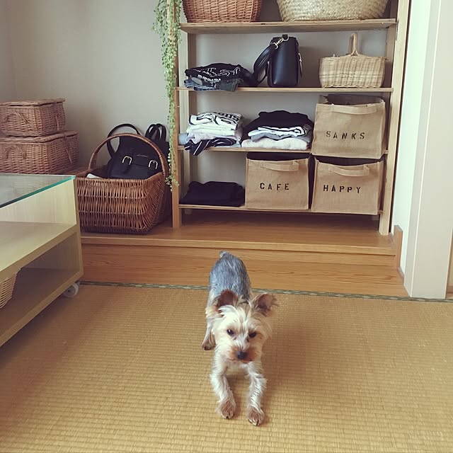 mayuoさんの実例写真