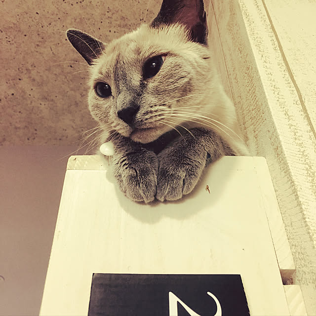 niko-25さんの実例写真