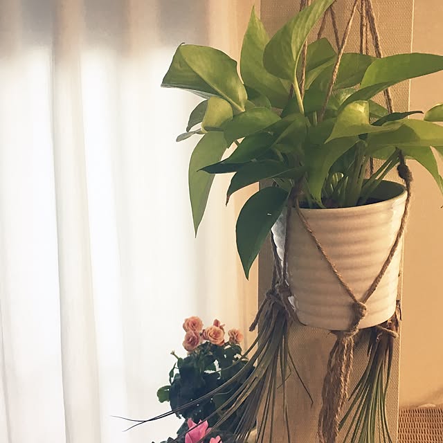 KYOKOさんの実例写真