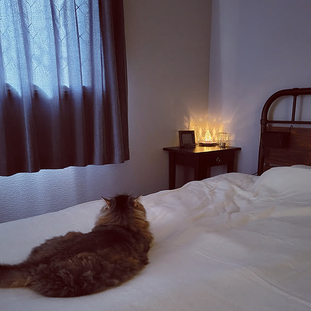 moonstoneさんの実例写真