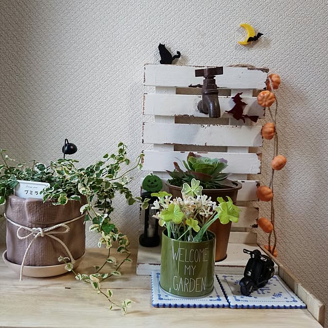 misaさんの実例写真