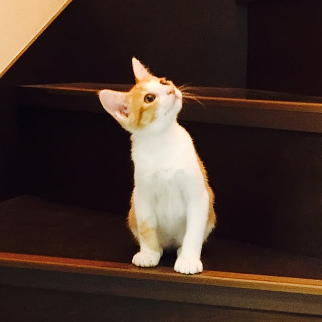 abcさんの実例写真