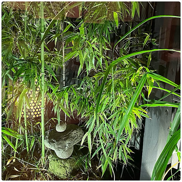 Hisashiさんの部屋
