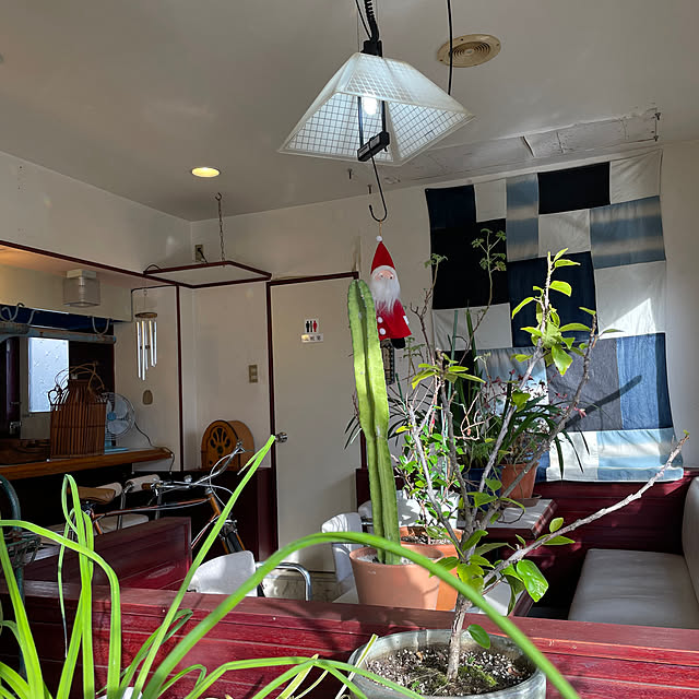 shin0719さんの部屋