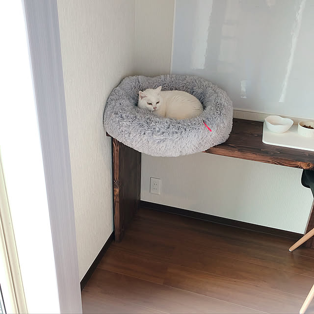 ha11na40さんの実例写真