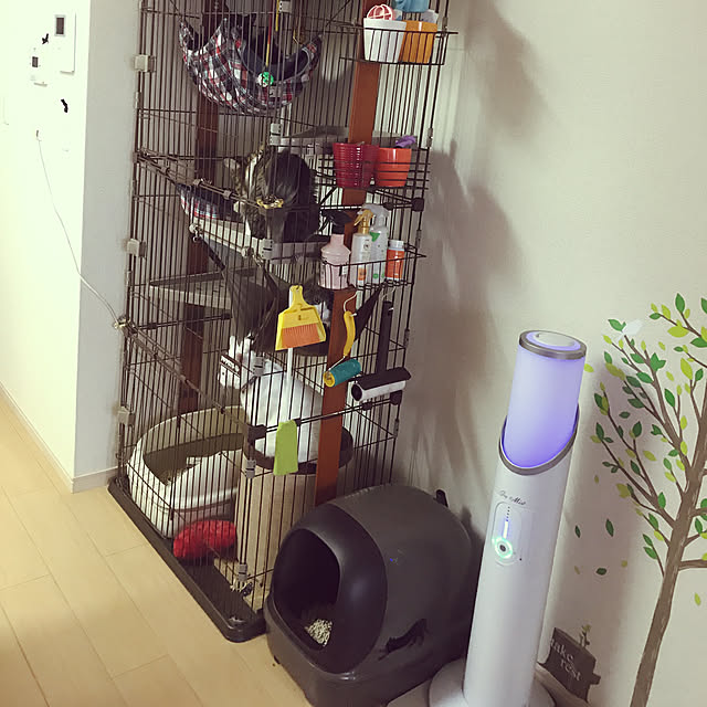 Asukaさんの実例写真