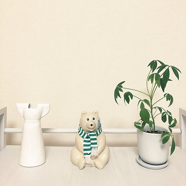 aidoraさんの実例写真