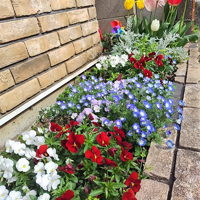 Hitomiさんの部屋