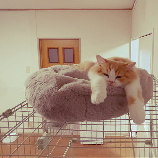 junさんの実例写真
