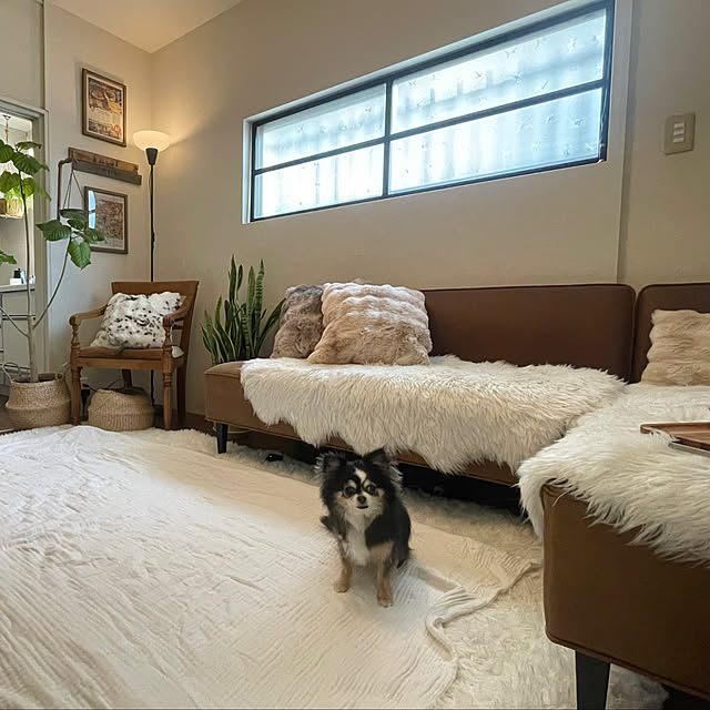 cocochanさんの部屋