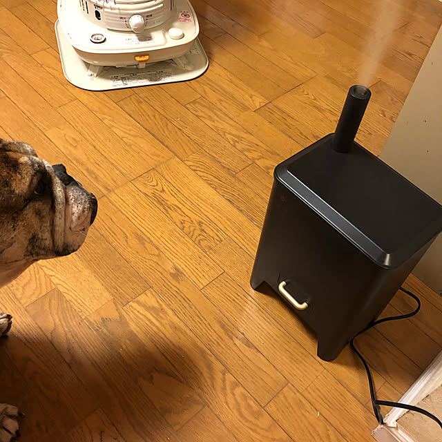 chi_gogaさんの実例写真
