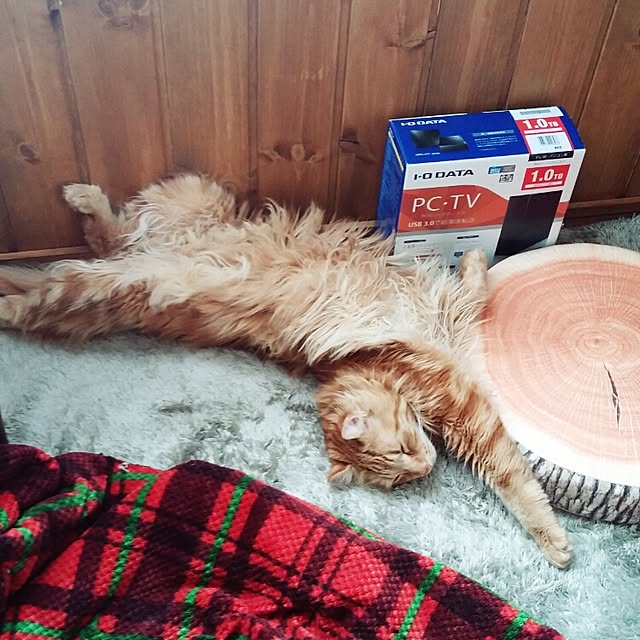 l..tomesanさんの実例写真