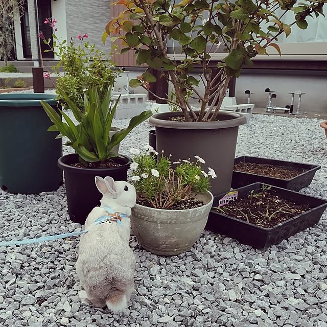 mutsuさんの実例写真