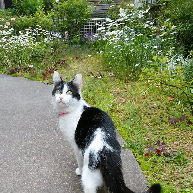 yum0408さんの実例写真