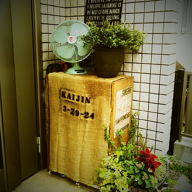 ayuさんの実例写真