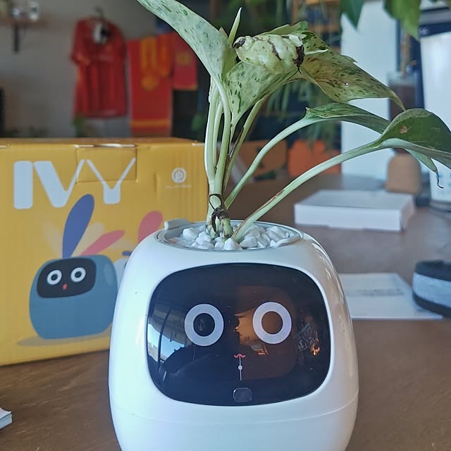 qolongislandさんの実例写真
