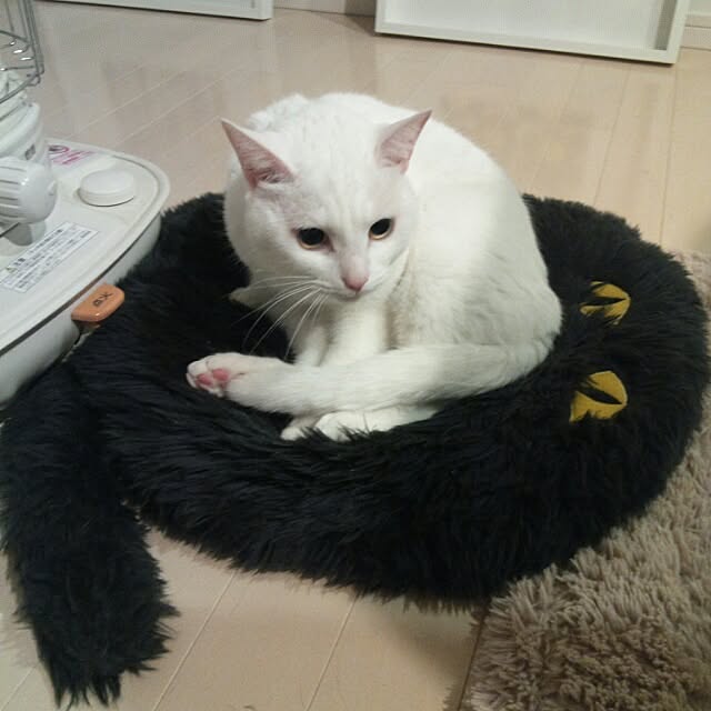 kikinanaさんの実例写真