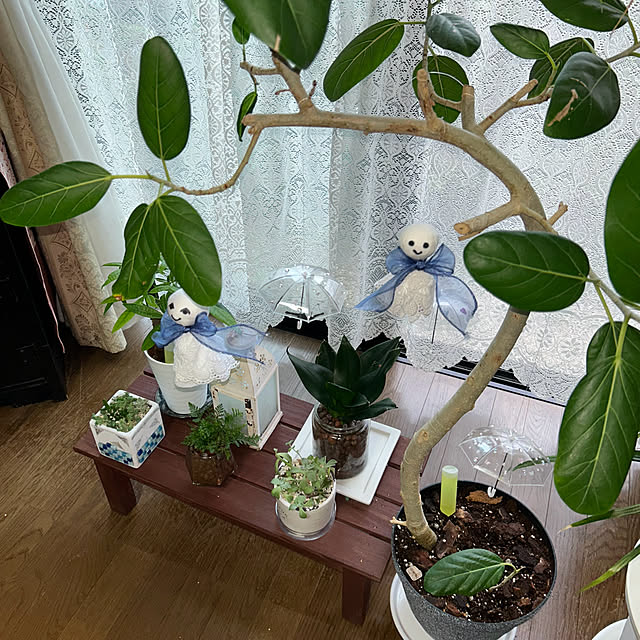 ritsukoさんの部屋