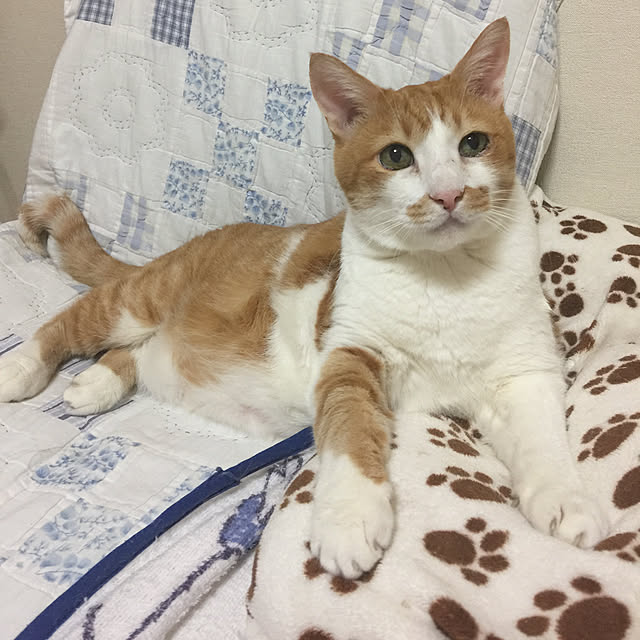 yachu.22さんの実例写真