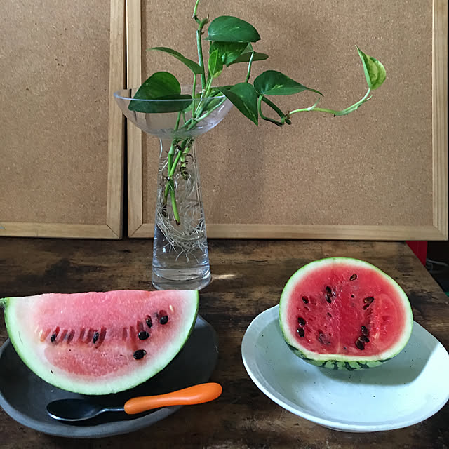 dainaoreiさんの実例写真