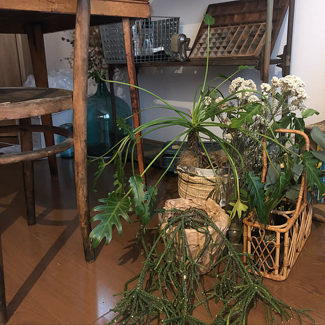 emonさんの実例写真