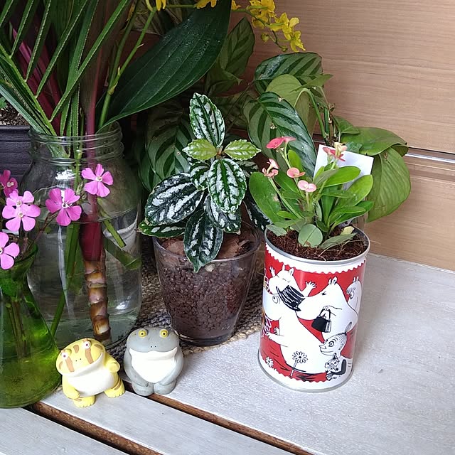 kiyohima229さんの実例写真