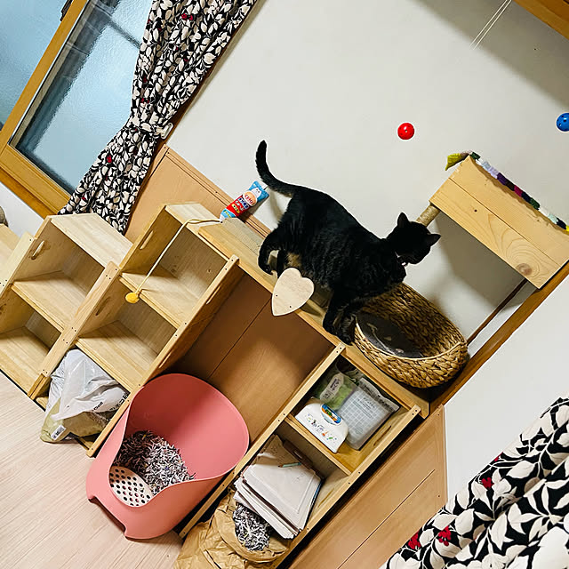 momocchiさんの実例写真