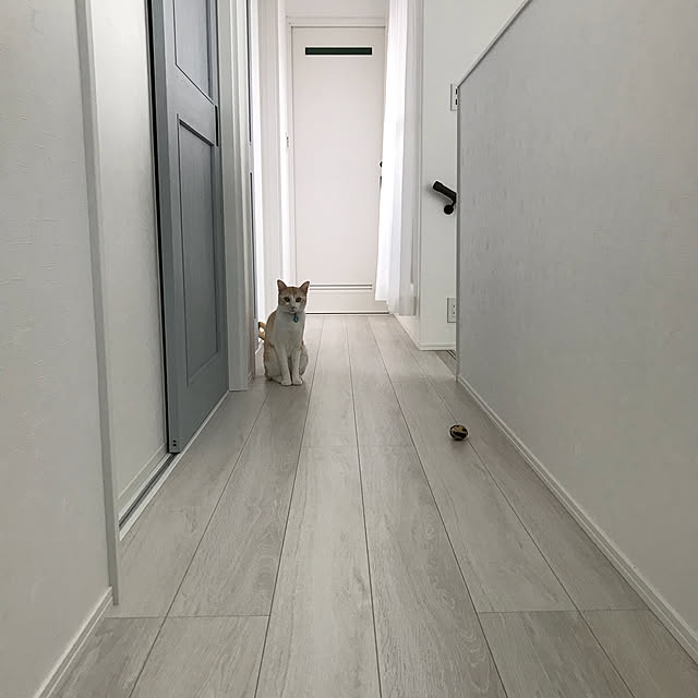 kssyさんの実例写真