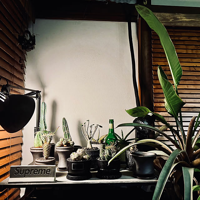 fujimoon77さんの実例写真