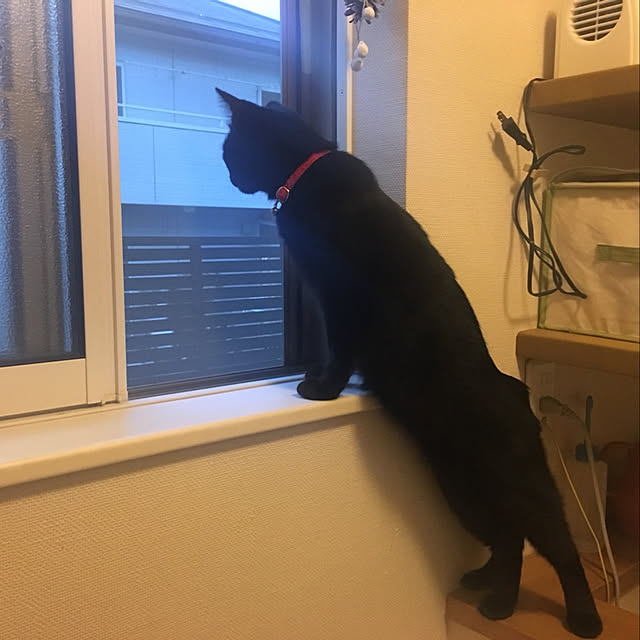 nanaさんの実例写真