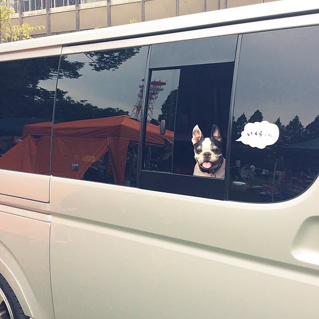 BOSTONさんの実例写真