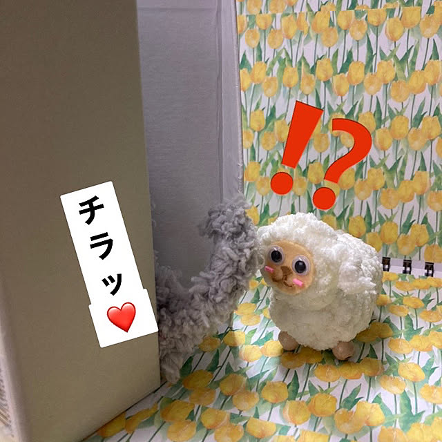 manduonmaさんの実例写真