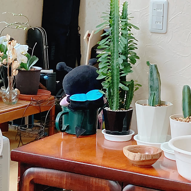 Megumiさんの実例写真