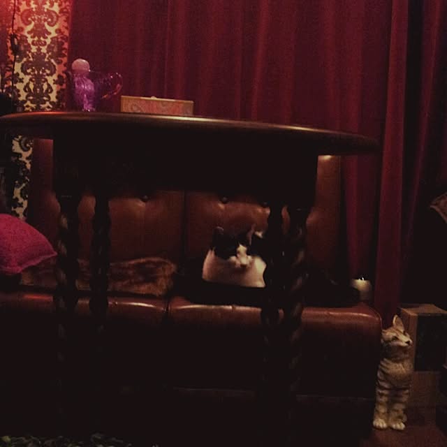 emmyyさんの実例写真